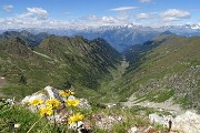 46 Bella vista a nord sulla Val Cervia e il Disgrazia